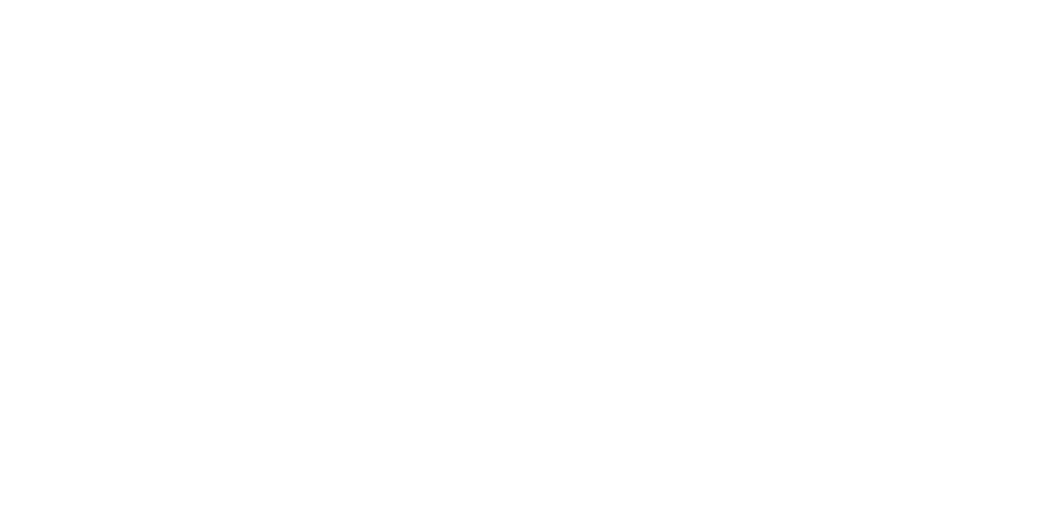 Chico Performances